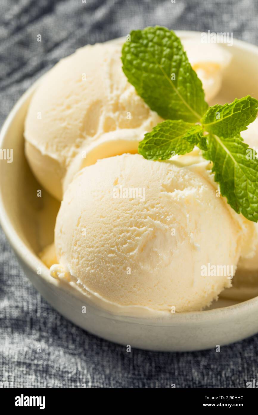 Homemade Frozen Vanilla Ice Cream Ready To Eat Stock Photo Alamy homemade-frozen-vanilla-ice-cream-ready-to-eat-stock-photo-alamy
