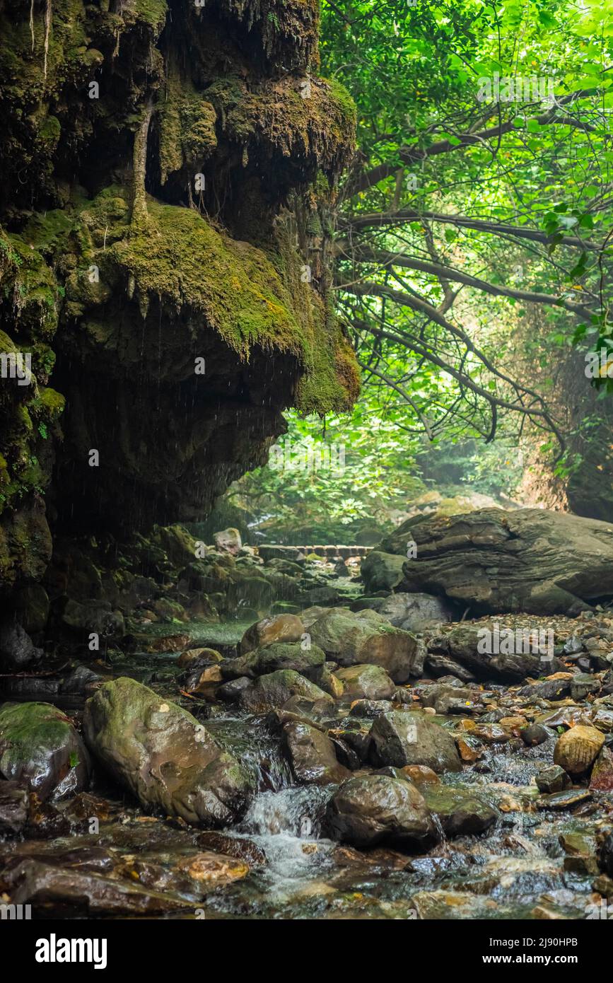 Impressive forest and river view in Kaz Mountains National Park. Crying waterfall (Aglayan Selale). Mount Ida, Balikesir, Edremit. Stock Photo