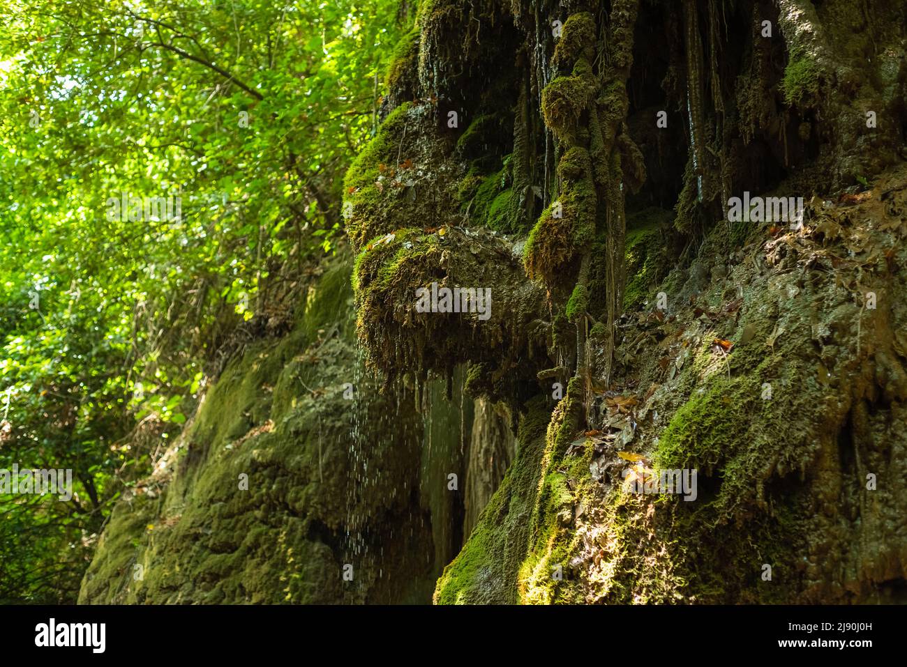 Stream Ida Mountain Turkish Kazdagi Meaning Stock Photo 1067484575