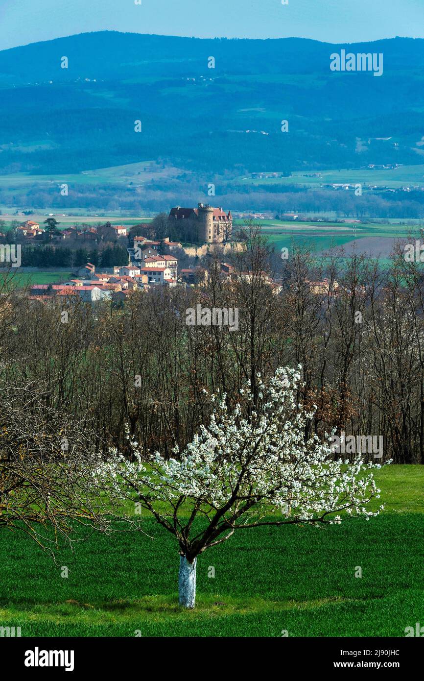 Paulhac castle near Brioude, Haute Loire department, Auvergne Rhone Alpes, France, Europe Stock Photo