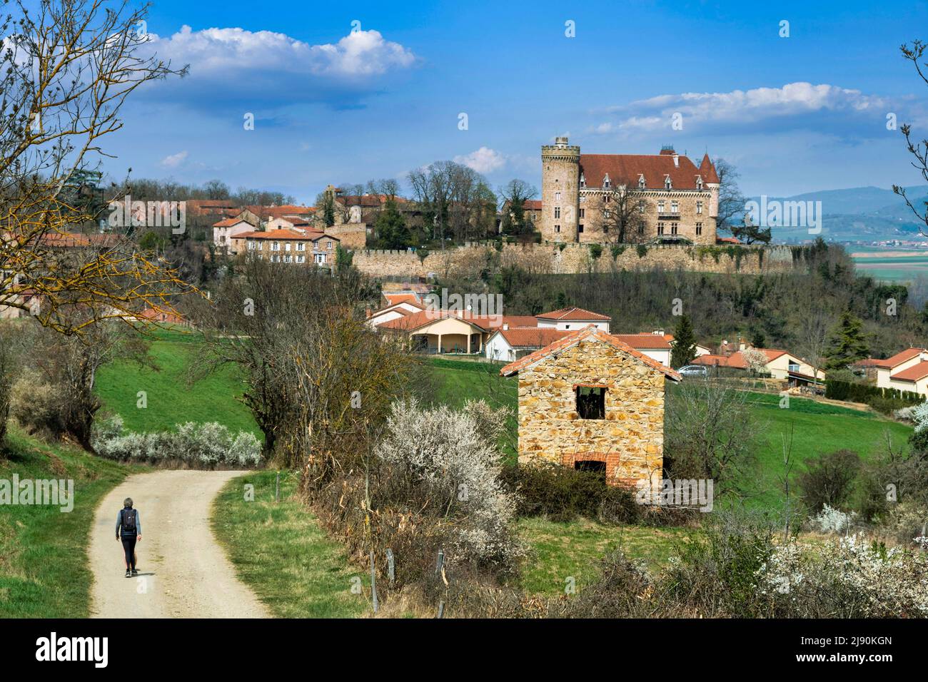 Paulhac castle near Brioude, Haute Loire department, Auvergne Rhone Alpes, France, Europe Stock Photo