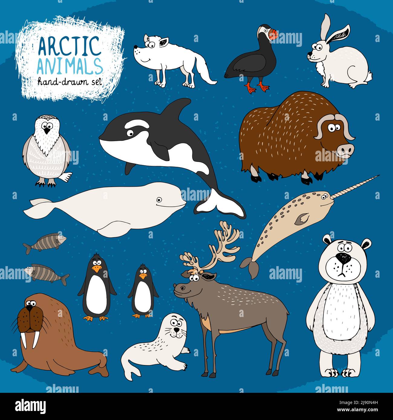 Set of hand-drawn arctic animals on a cold blue background with a polar bear  bison  reindeer  orca  beluga whale and narwhal  hare  fox  puffin  walr Stock Vector
