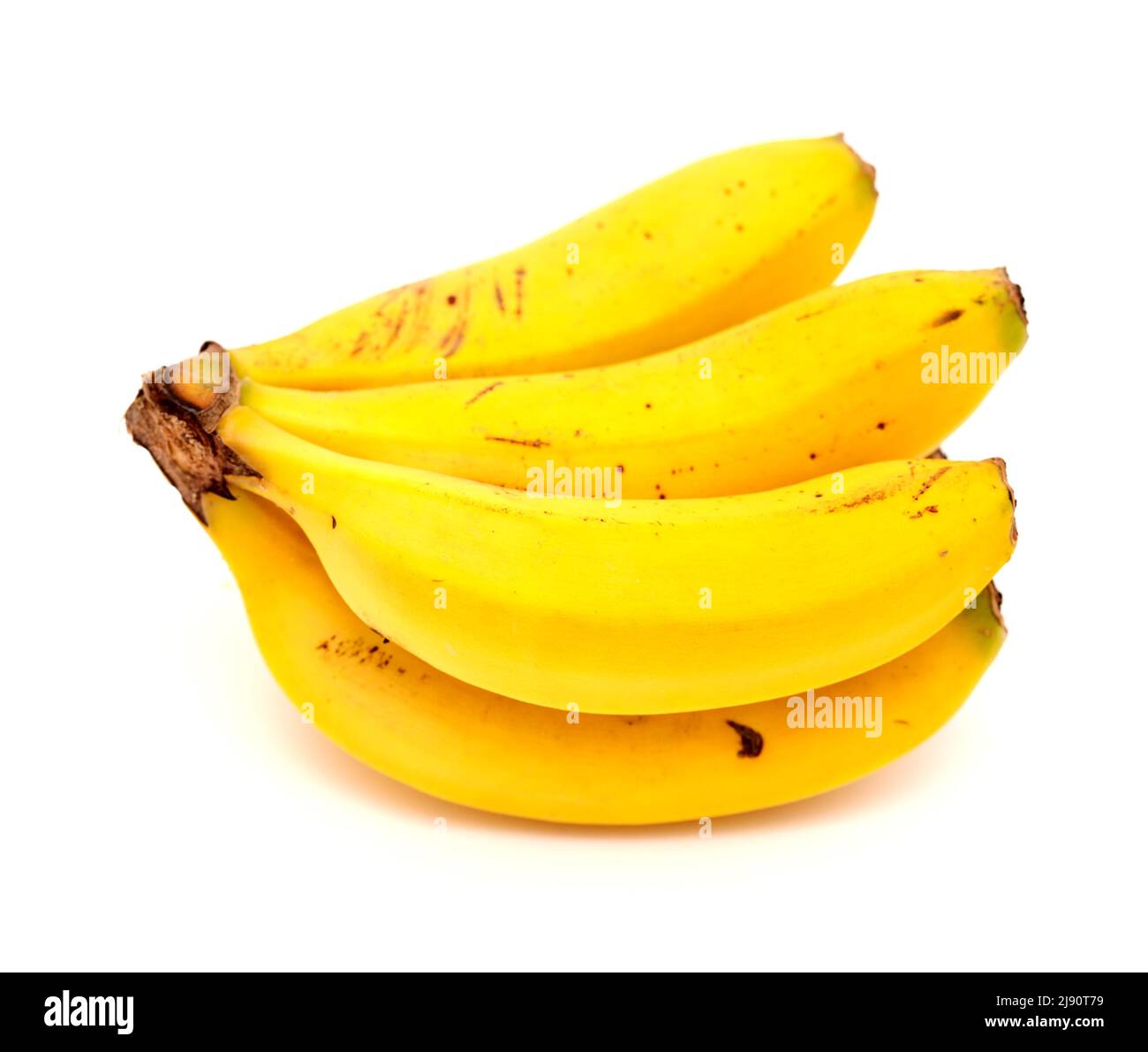 bunch of small bananas from  Canary Islands, Spain Stock Photo