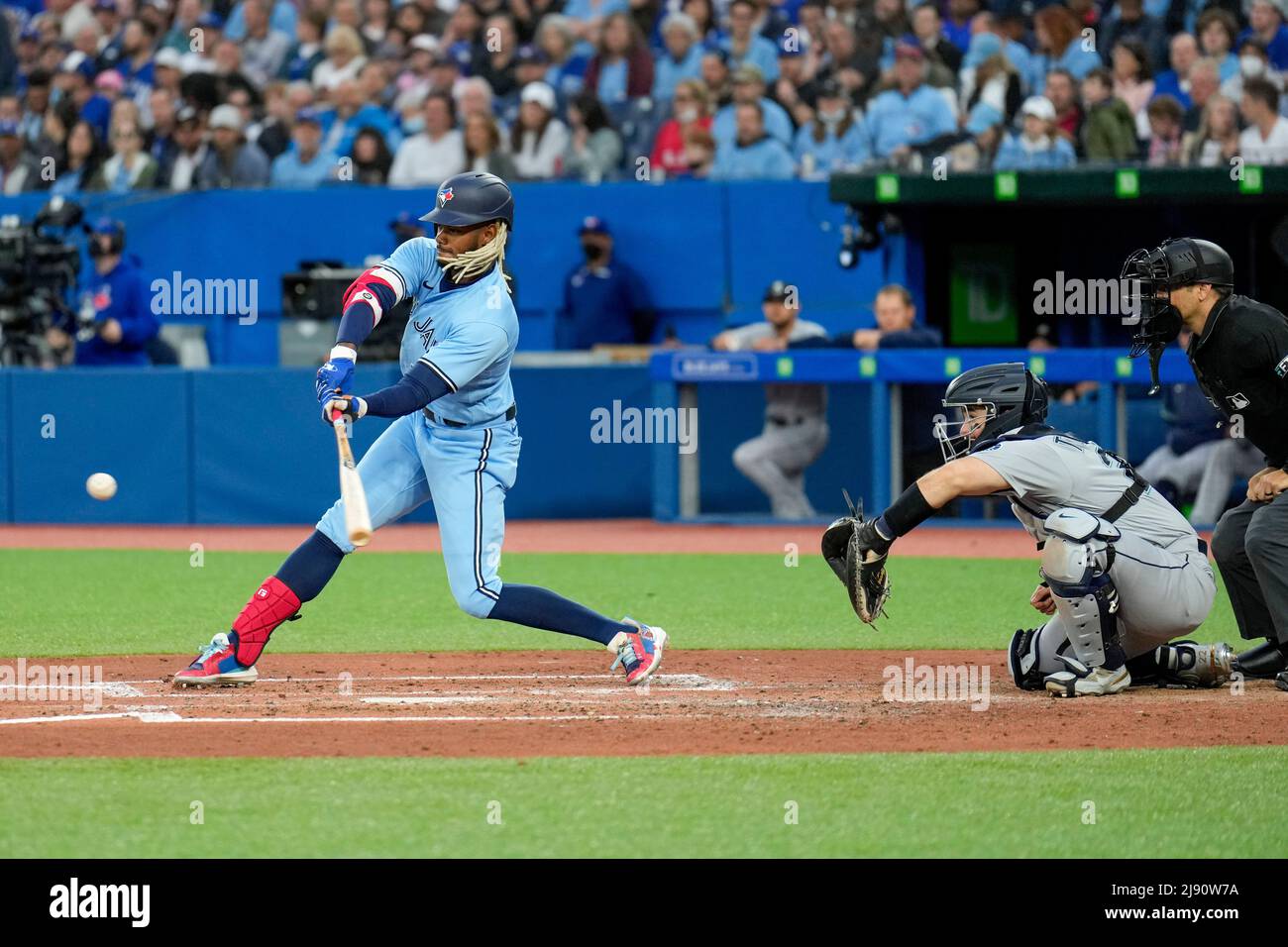 Toronto Blue Jay outfielder Raimel Tapia (15) at bat during an MLB game