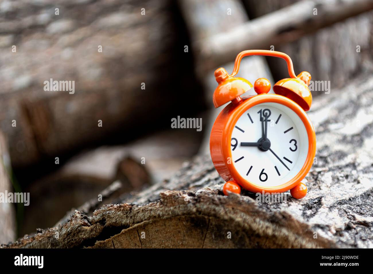 Orange alarm clock isolated on tree trunk. The clock set at 9 o'clock. Stock Photo