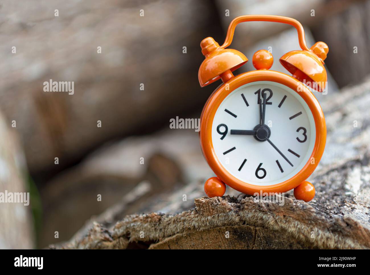 Orange alarm clock isolated on tree trunk. The clock set at 9 o'clock. Stock Photo