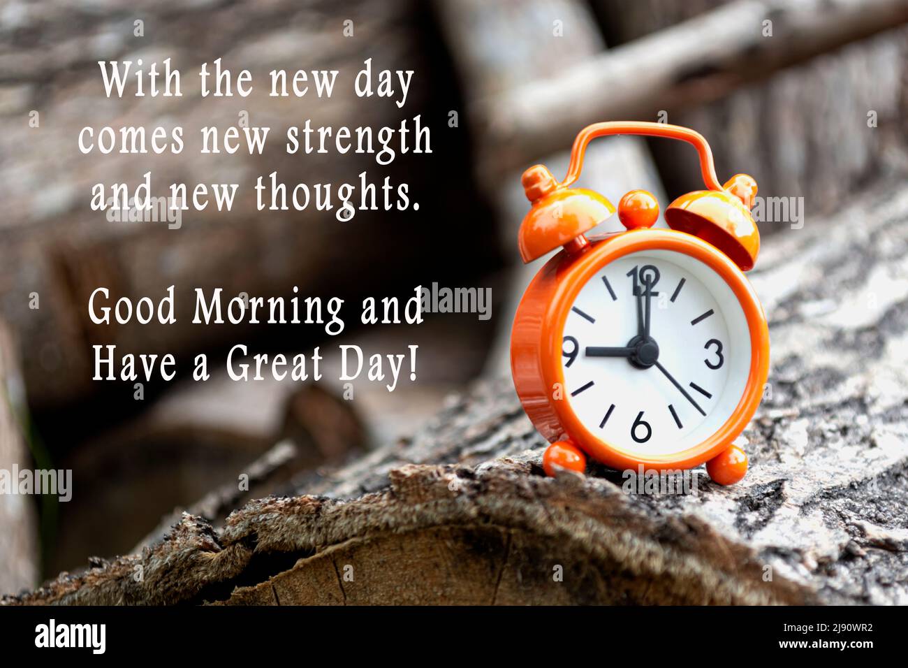 Motivational quote with alarm clock isolated on tree trunk - With ...