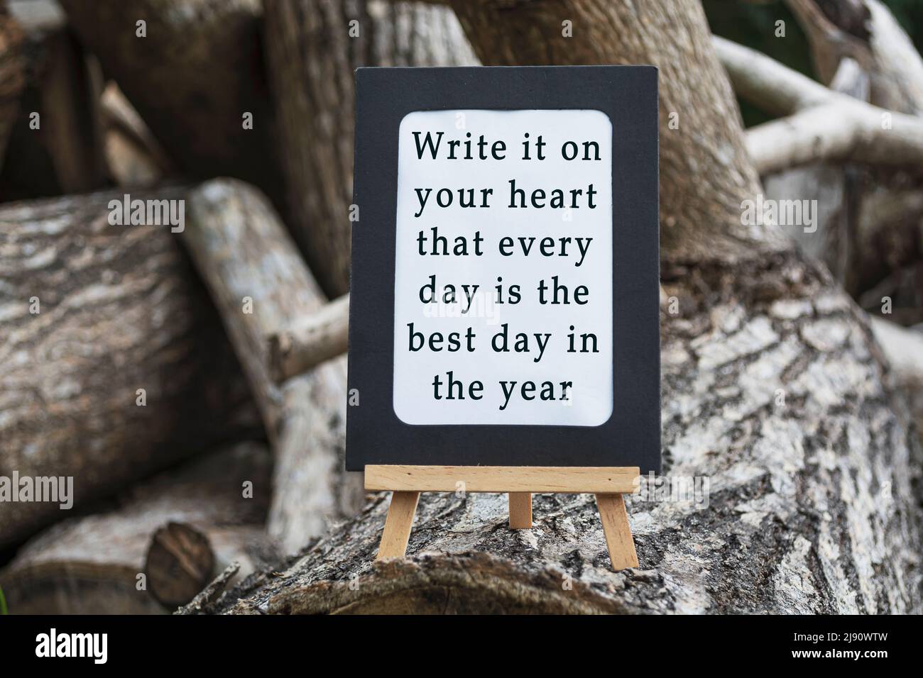 Motivational quote on a chalkboard isolated on tree trunk - Write it on your heart that every day is the best day in the year. Stock Photo
