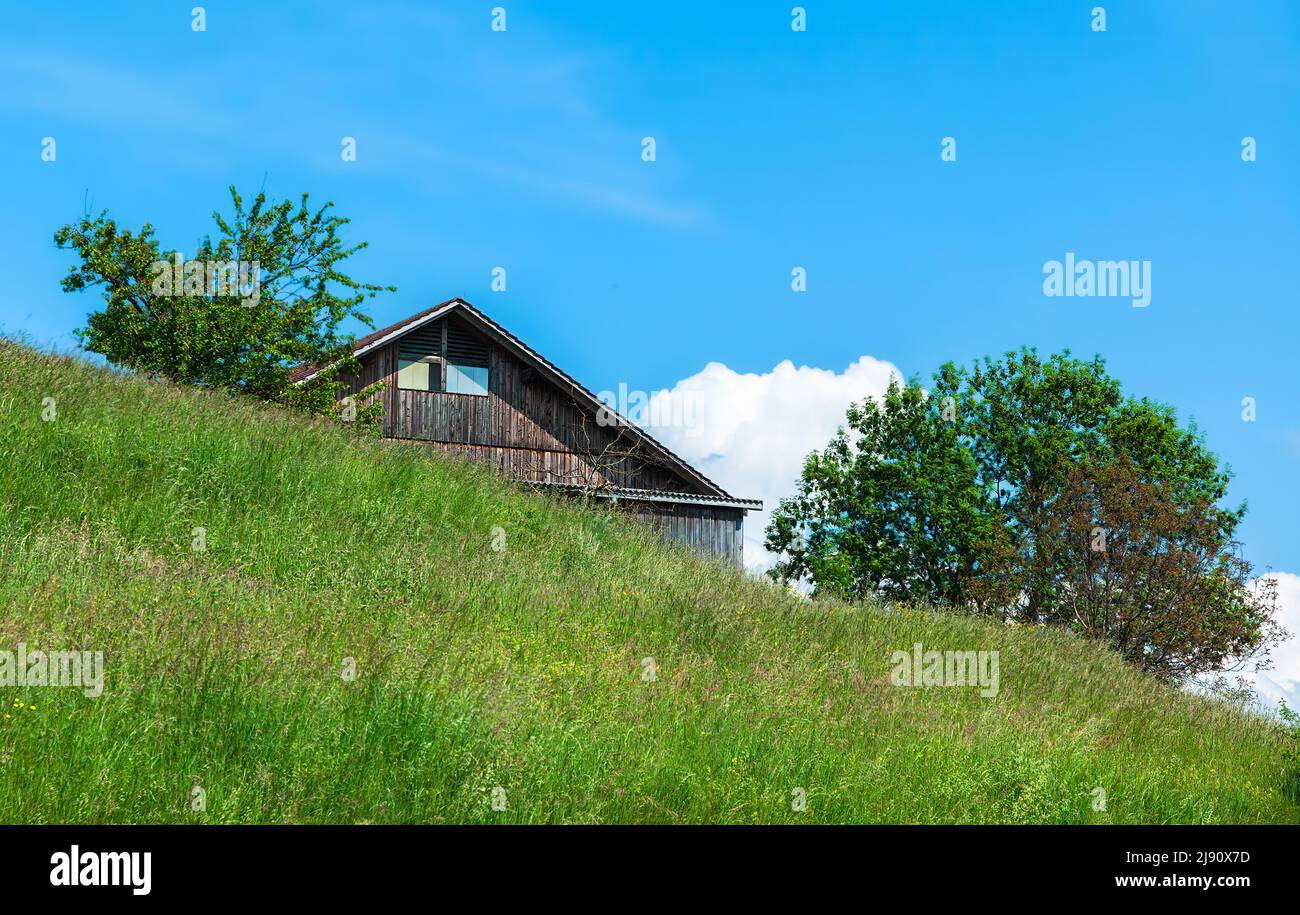Rural image with a meadow in the foreground, the roof of a farmhouse