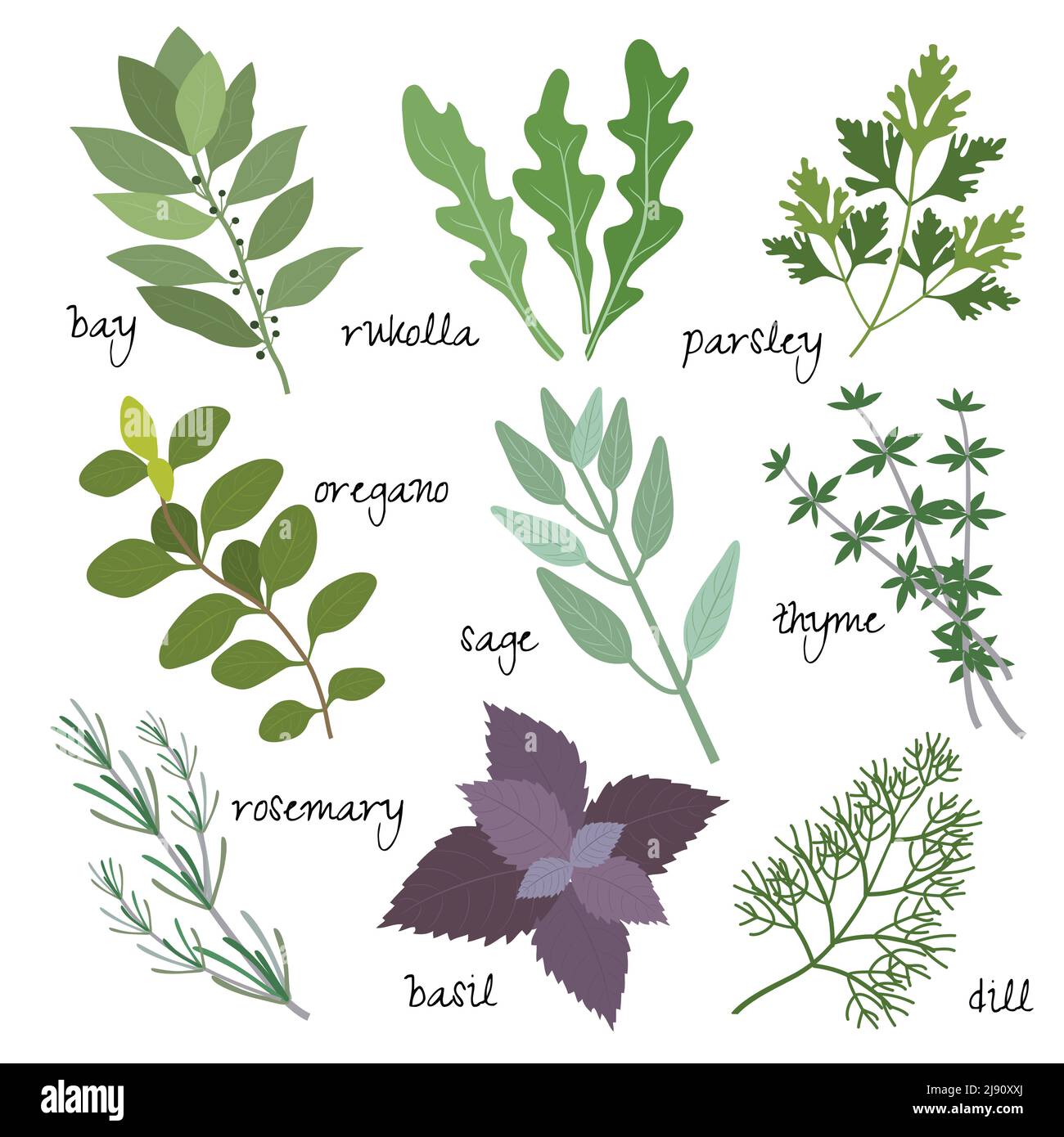 healing, medicinal and fragrant herbs, vector eps10 illustration Stock ...