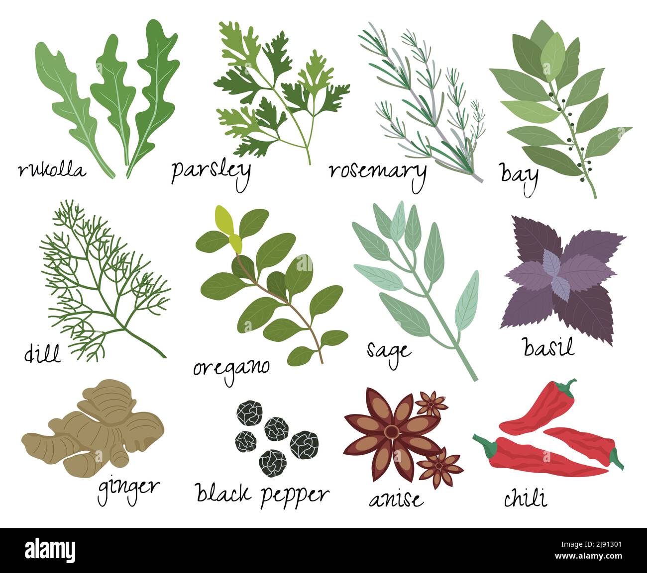 Spices names hires stock photography and images Alamy