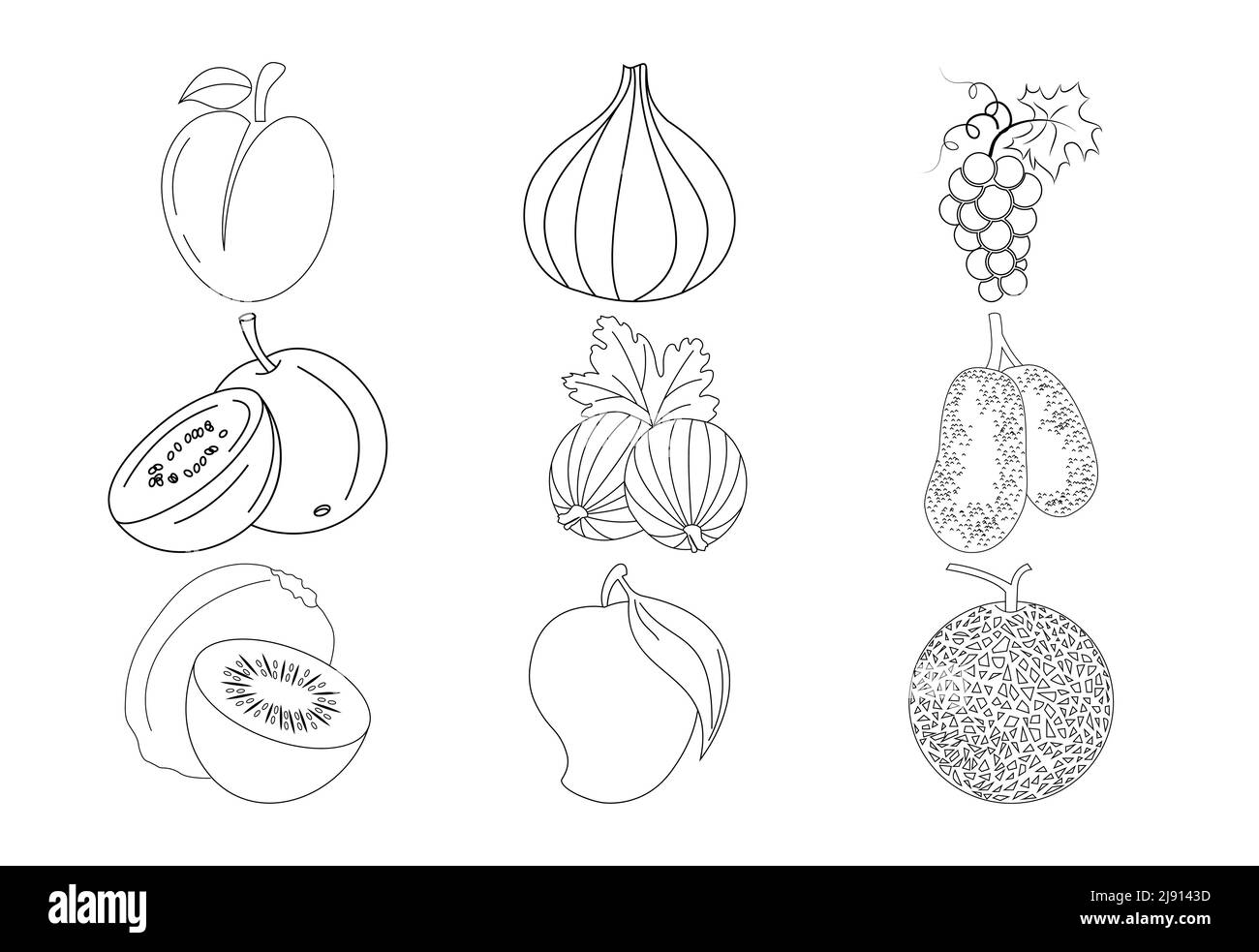 Fruits coloring pages vector illustration on white background ...