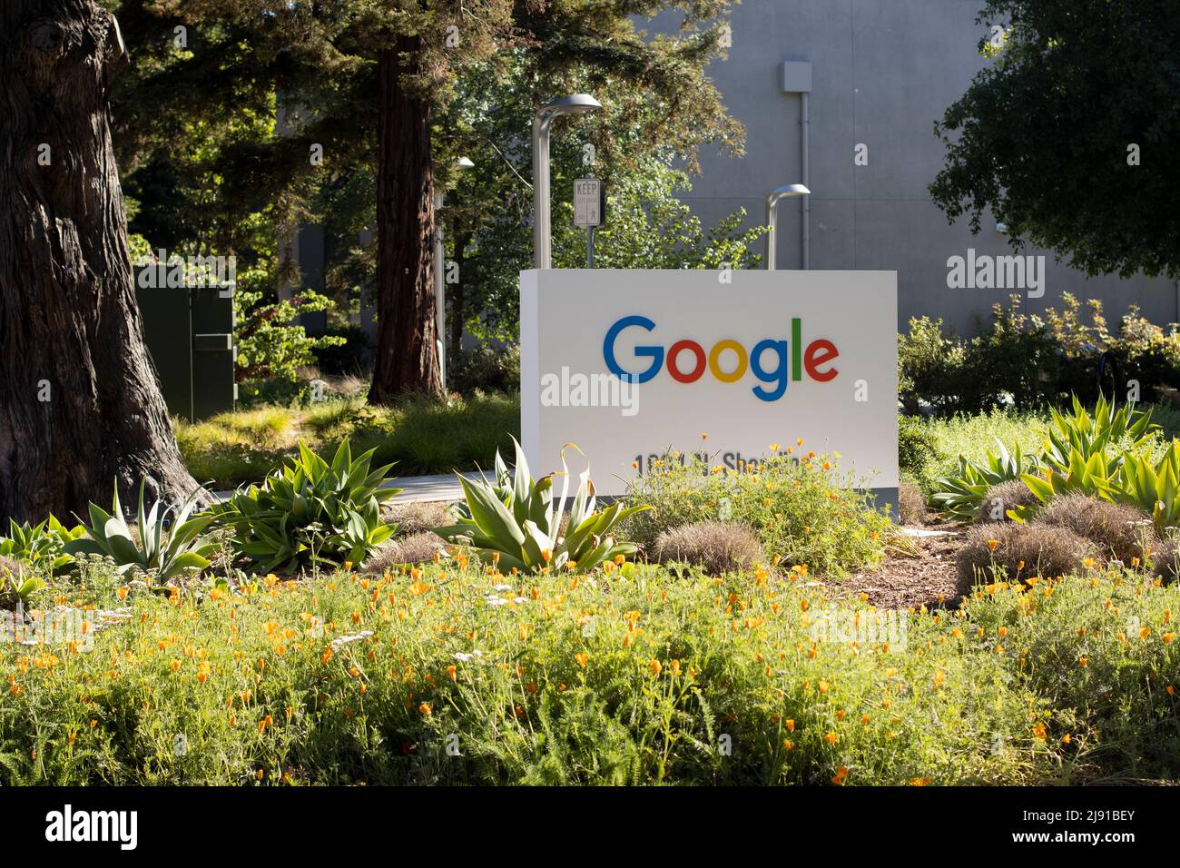 Google logo is seen at the entrance to an office building in the Google headquarters campus in Mountain View, California, on Wednesday, May 4, 2022. Stock Photo