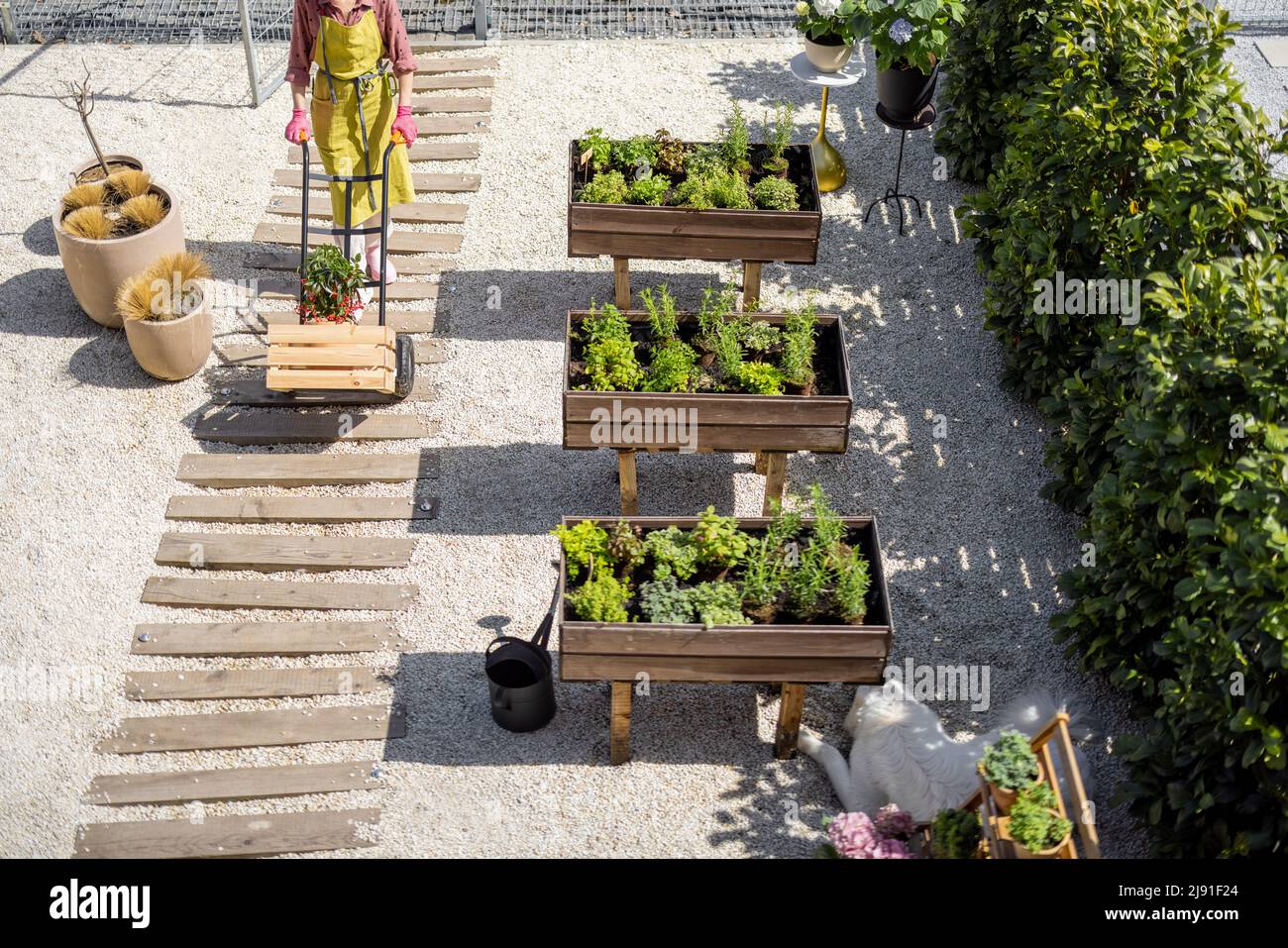 Wheelbarrow vegetable garden gardening hires stock photography and