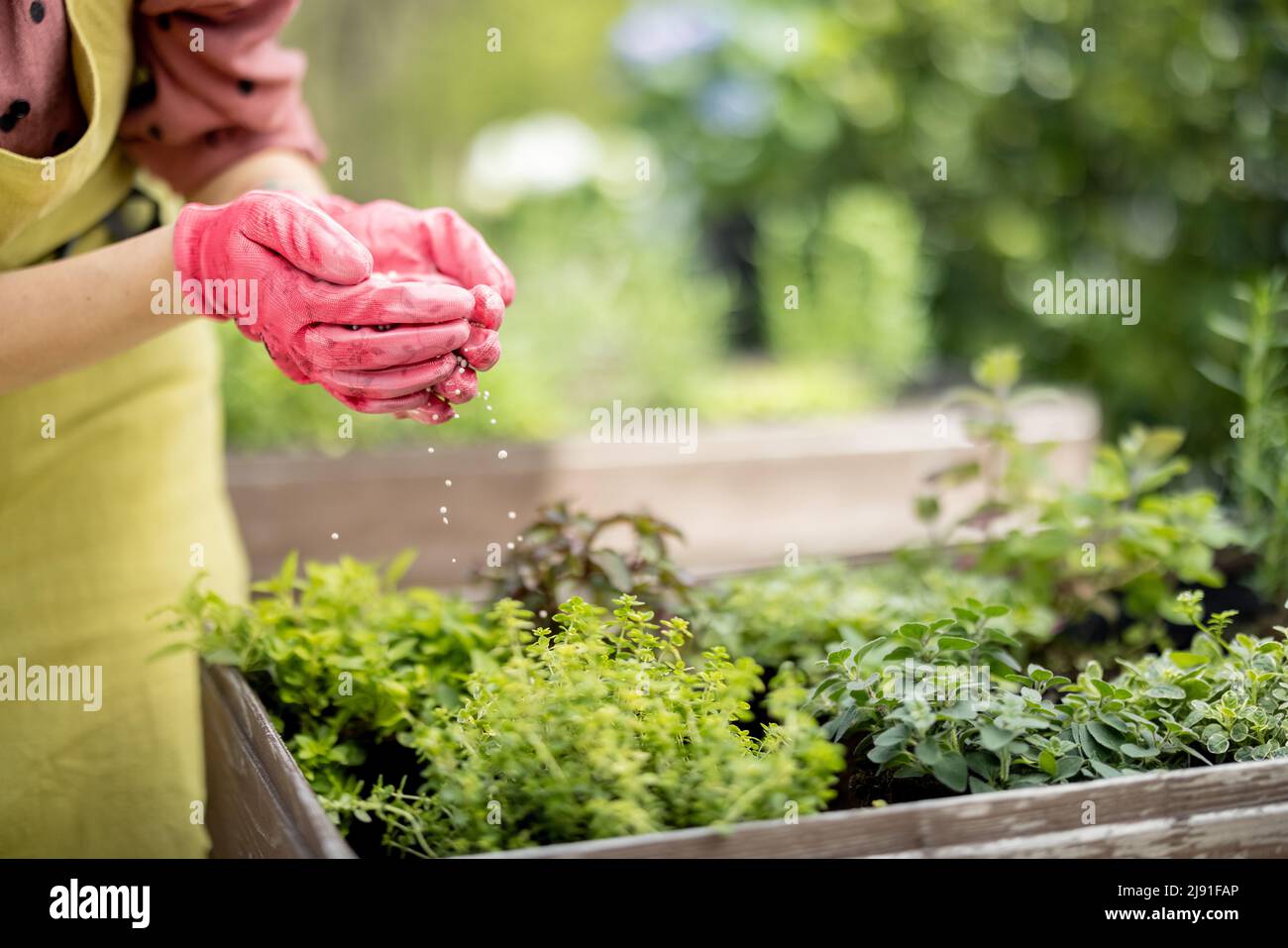 Granular fertilizer garden hi-res stock photography and images - Alamy