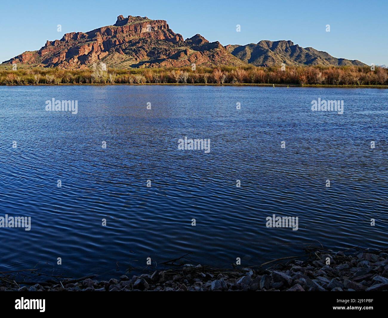 Red Mountain in Mesa, Arizona is framed by various desert bushes and trees that populate the banks of the Salt River Stock Photo