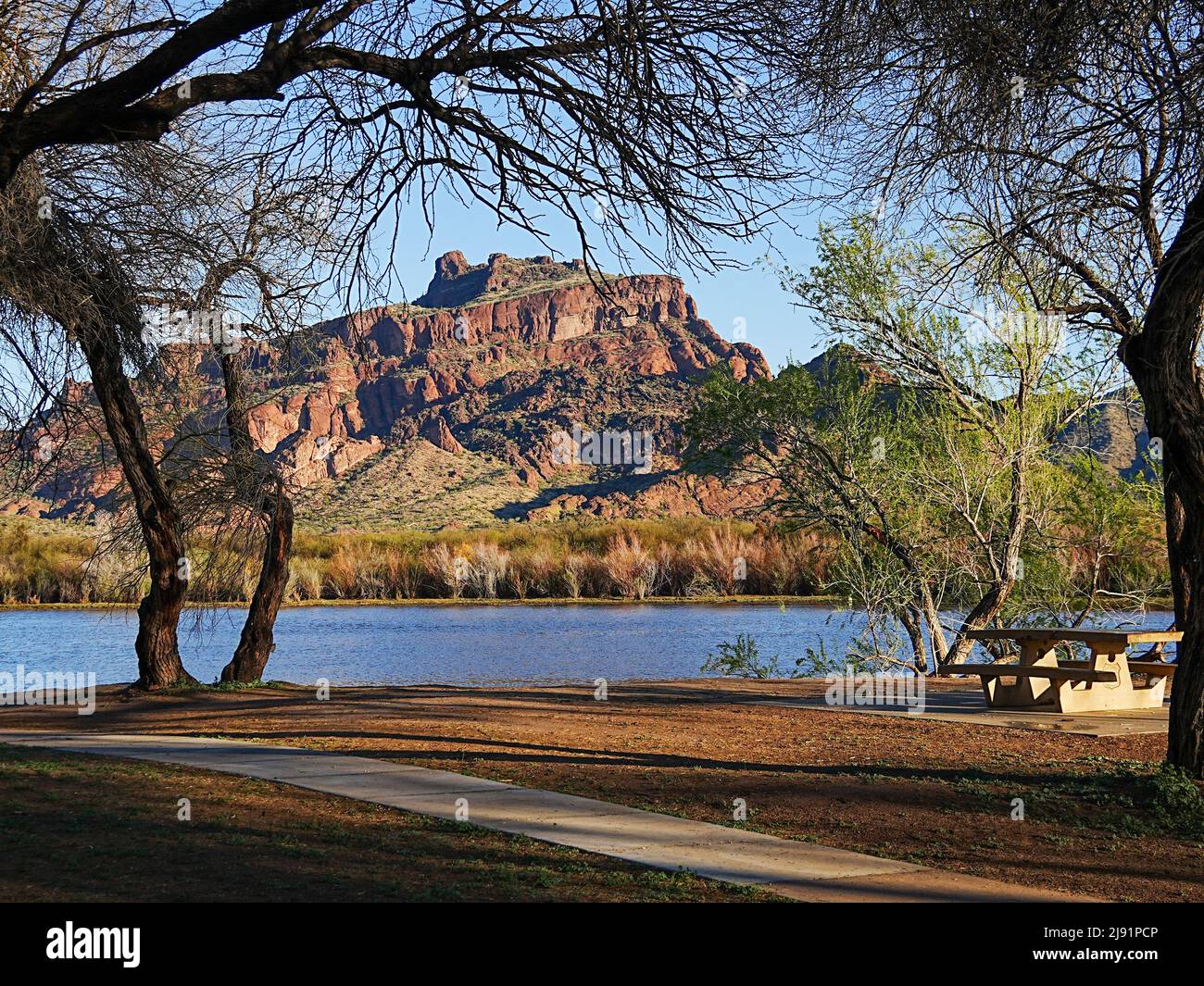 Red Mountain in Mesa, Arizona is framed by various desert bushes and trees that populate the banks of the Salt River Stock Photo