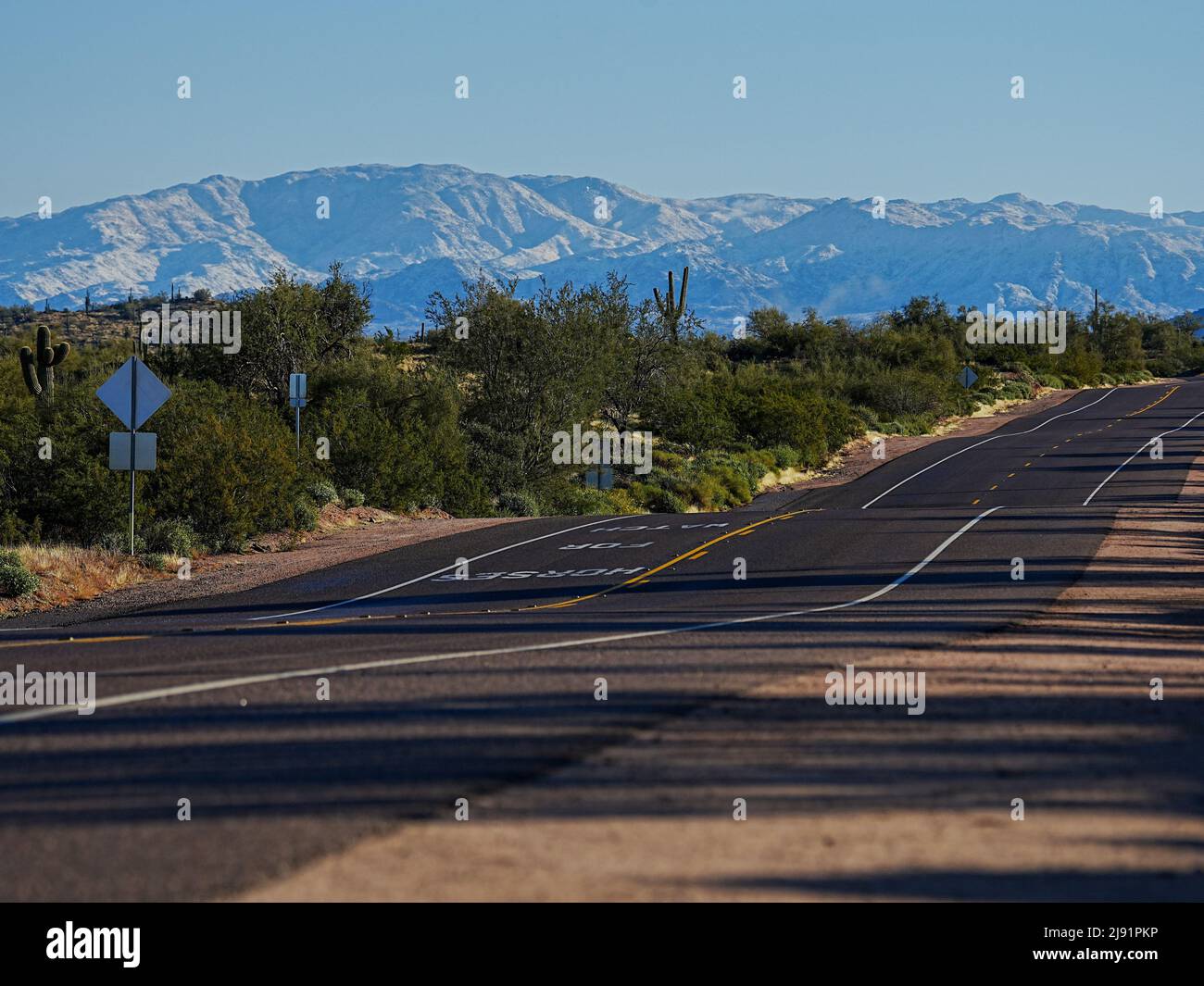 A rare snow event brings snow and fog to Arizona's Four Peaks range