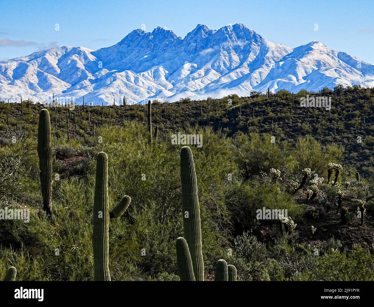 A rare snow event brings snow and fog to Arizona's Four Peaks range during an unusual cold and wet period. Stock Photo