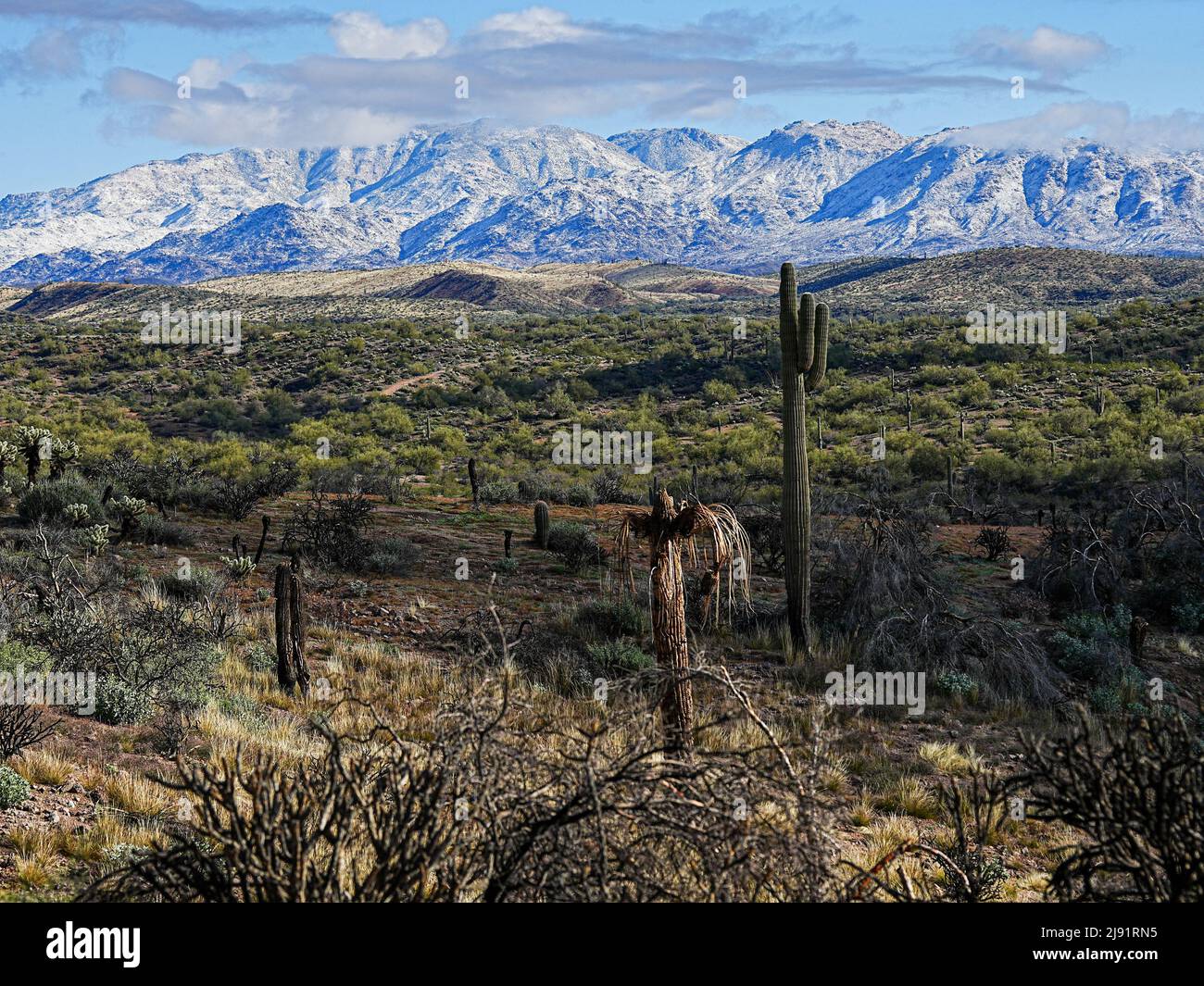 A rare snow event brings snow and fog to Arizona's Four Peaks range during an unusual cold and wet period. Stock Photo