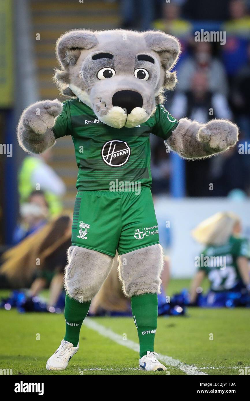 Warrington wolves mascot hires stock photography and images Alamy
