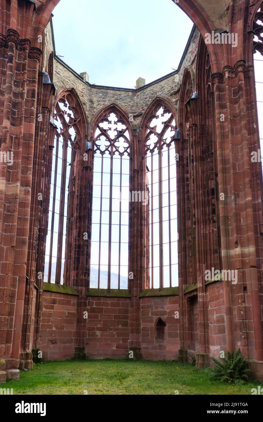 Blue sky through the windows and top of the ruins of an old chapel, Wernerkapelle, in Bacharach, Germany. Stock Photo