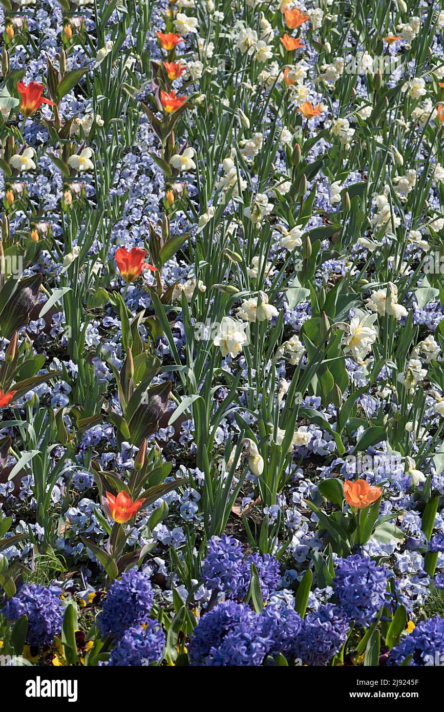 City different hires stock photography and images Alamy