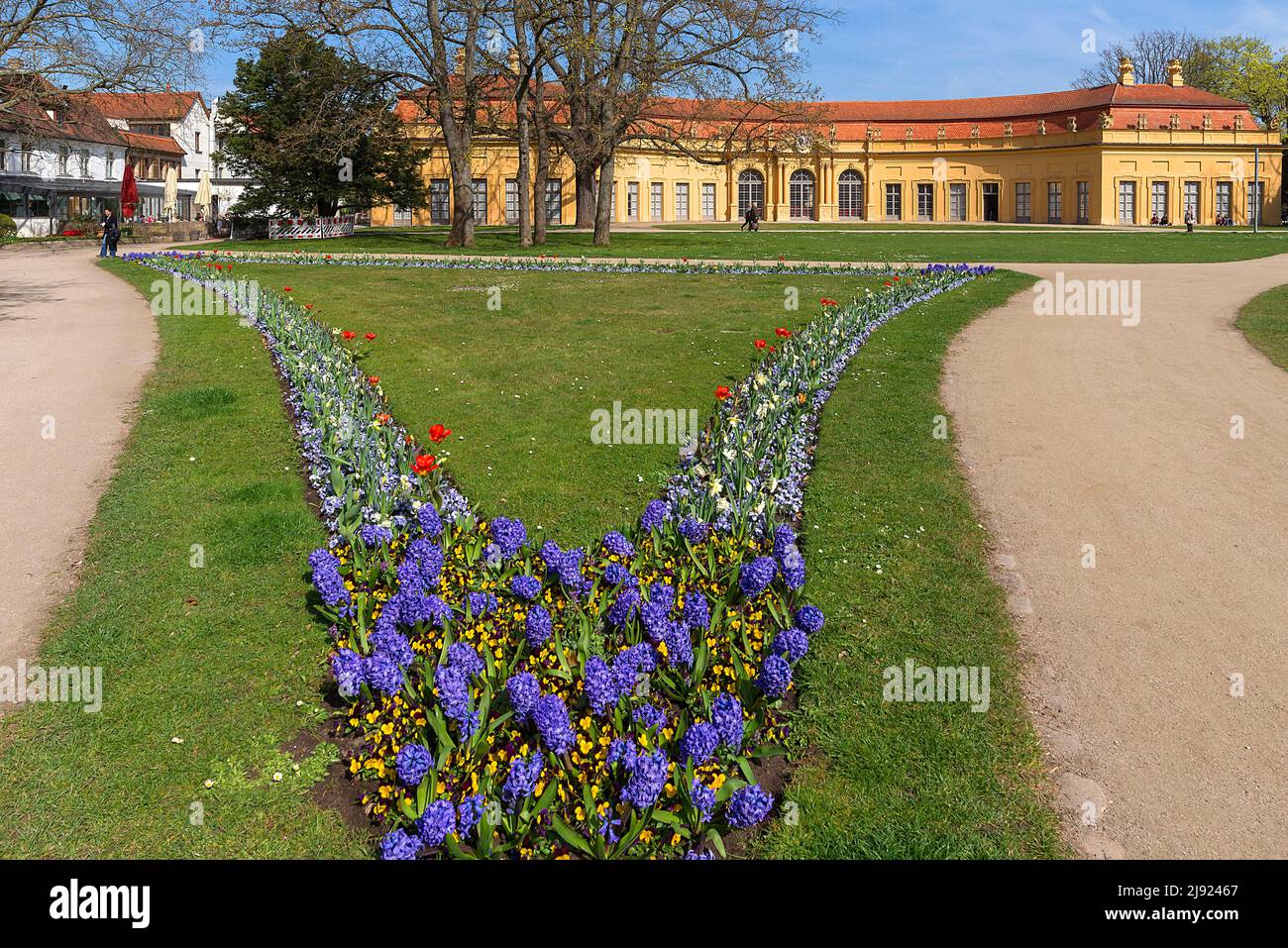 Early spring flowers in the municipal park, the orangery in the back