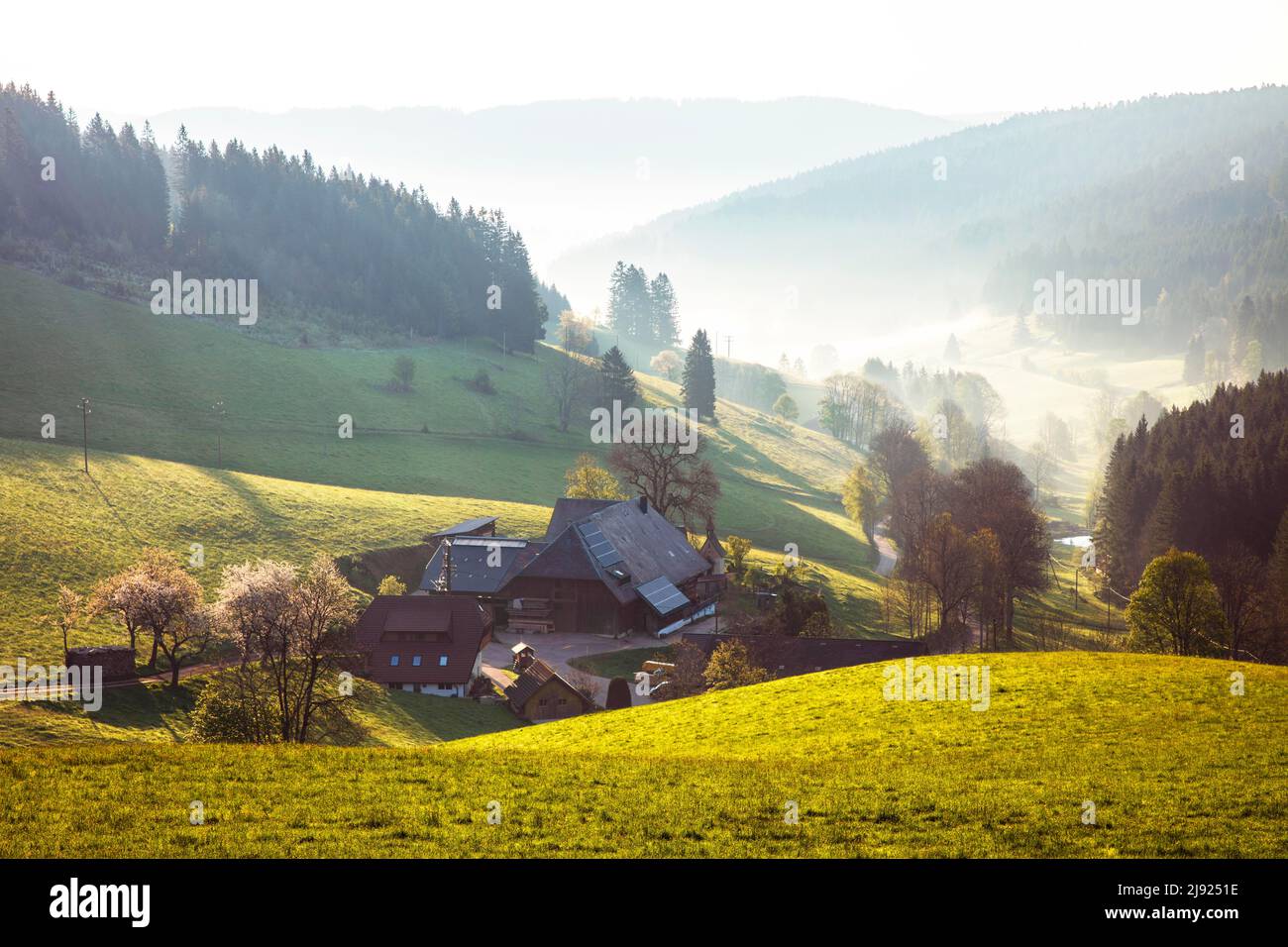 suche arbeit in titisee neustadt