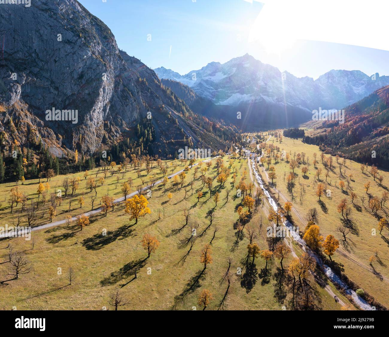 Aerial view, Grosser Ahornboden in autumn, yellow sycamore maple ...