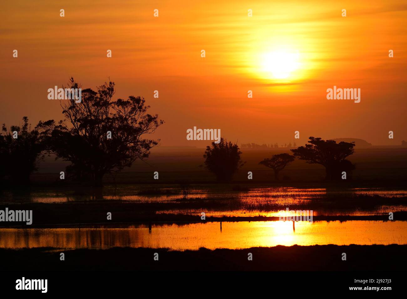 Sunset over Lagoa dos Patos, near Sao Jose do Norte, Rio Grande do Sul, Brazil Stock Photo