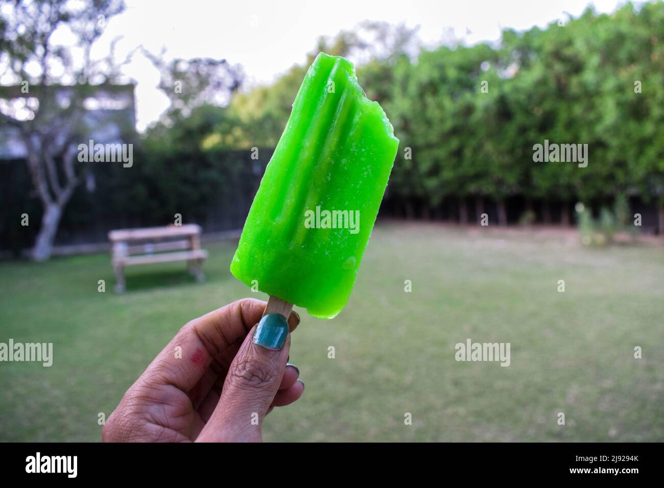 Person eating Cold Icecream bar candy Frozen dessert in scroching summer eat. Green color flavour popsicle ice cream of raw mango sweet taste Stock Photo