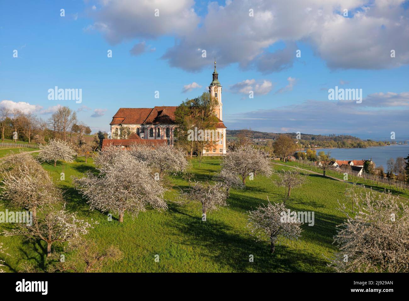 Birnau Pilgrimage Church, fruit tree blossom in spring, Unteruhldingen, Lake Constance, Baden-Wuerttemberg, Germany, Lake Constance, Birnau Stock Photo