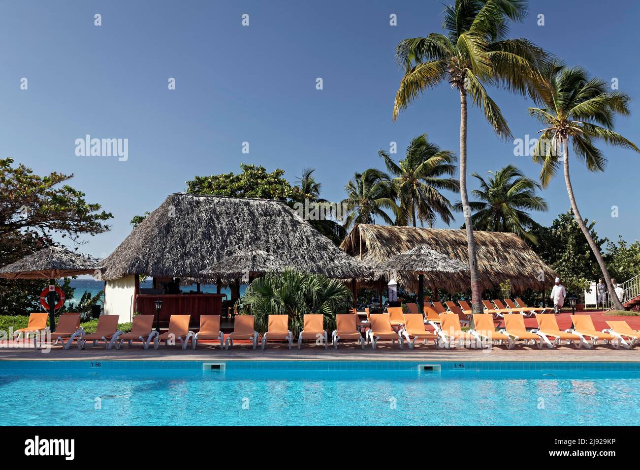 Swimming Pool, Sunbeds, Bar, Cocos coconut palm (Cocos nucifera), Hotel Club Amigo Costasur, Playa Ancon, Trinidad, Sancti Spiritus Province, Cuba Stock Photo