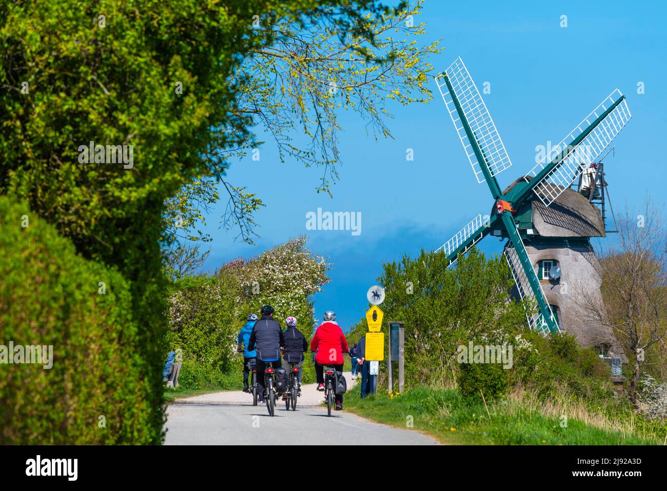 Windmill Charlotte, earthen bollard from 1826, Nieby, renovation, thatched roof, cyclist, circular route, spring, landscape Angeln Stock Photo