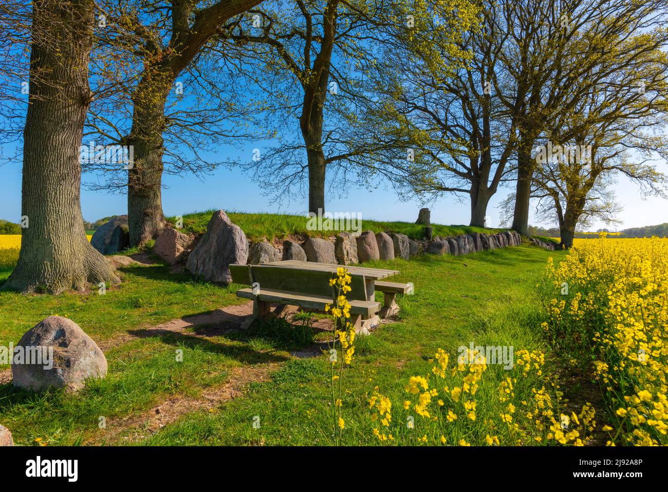 Megalithic grave Karlsminde, c. 2500v. Foundling, megalithic grave