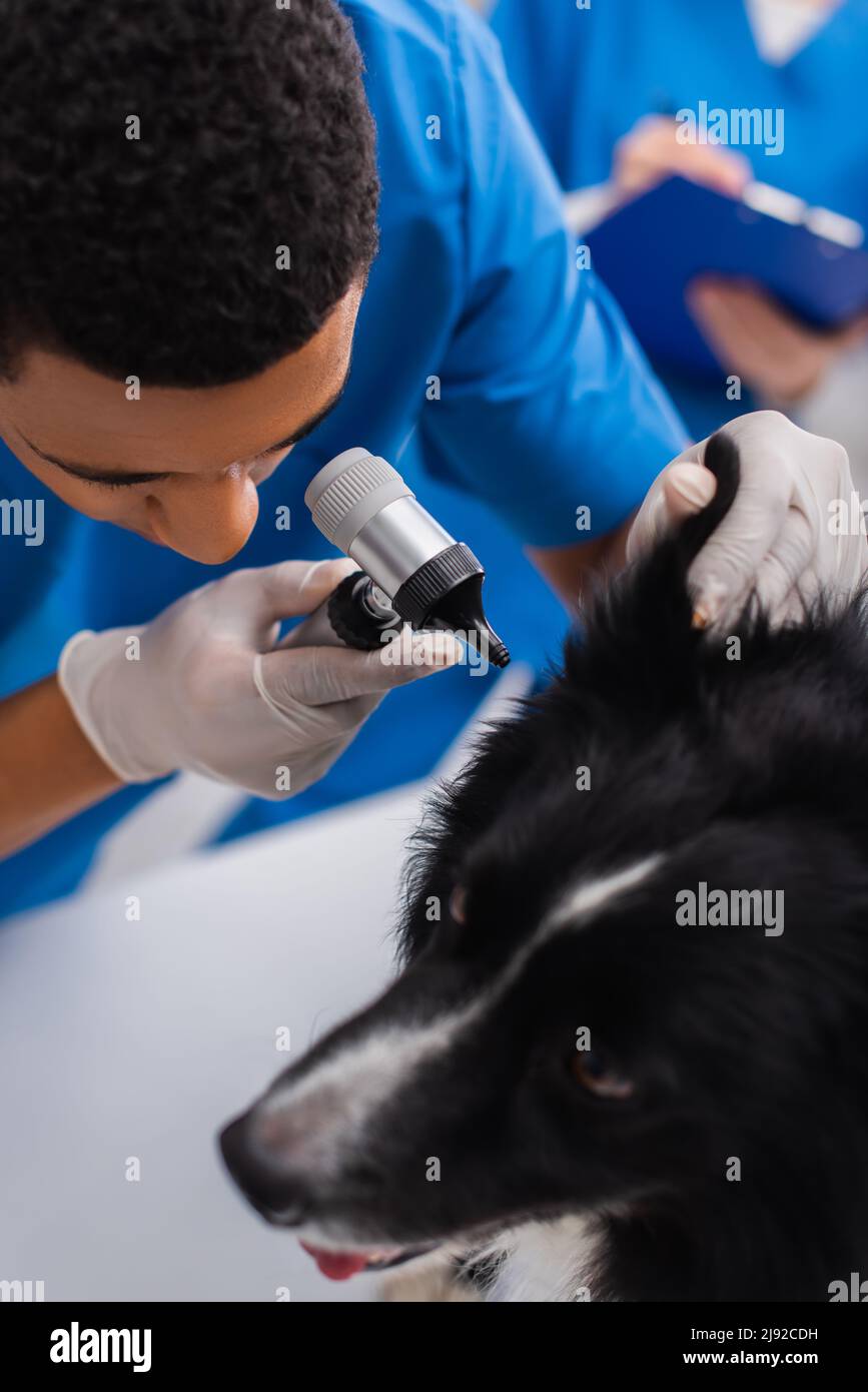 Overhead view of african american doctor holding otoscope near ear of