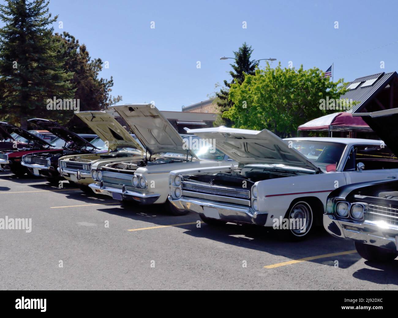 Row of vintage cars with engine hoods up, on display at summer USA car show. Stock Photo