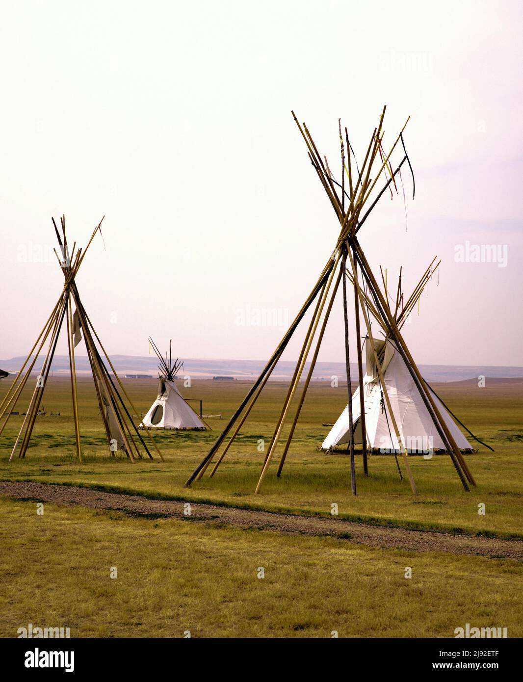 Teepee poles form the structures for indigenous living quarters, with two dwellings already covered in canvas. Stock Photo