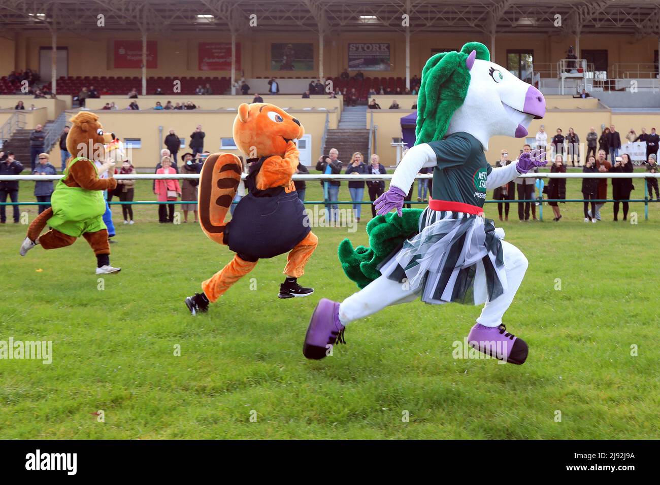 16.10.2021, Magdeburg, Saxony-Anhalt, Germany - Mascot race at the racecourse. 00S211016D618CAROEX.JPG [MODEL RELEASE: NO, PROPERTY RELEASE: NO (c) ca Stock Photo