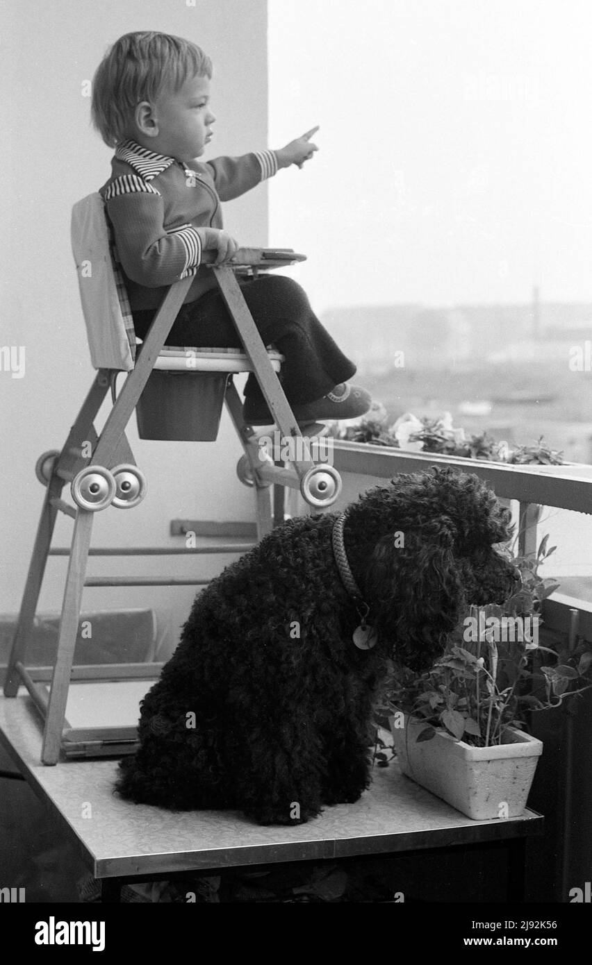 21.09.1988, Magdeburg, Magdeburg district, German Democratic Republic - Toddler sitting in a high chair with a dog on a table and looking over the bal Stock Photo