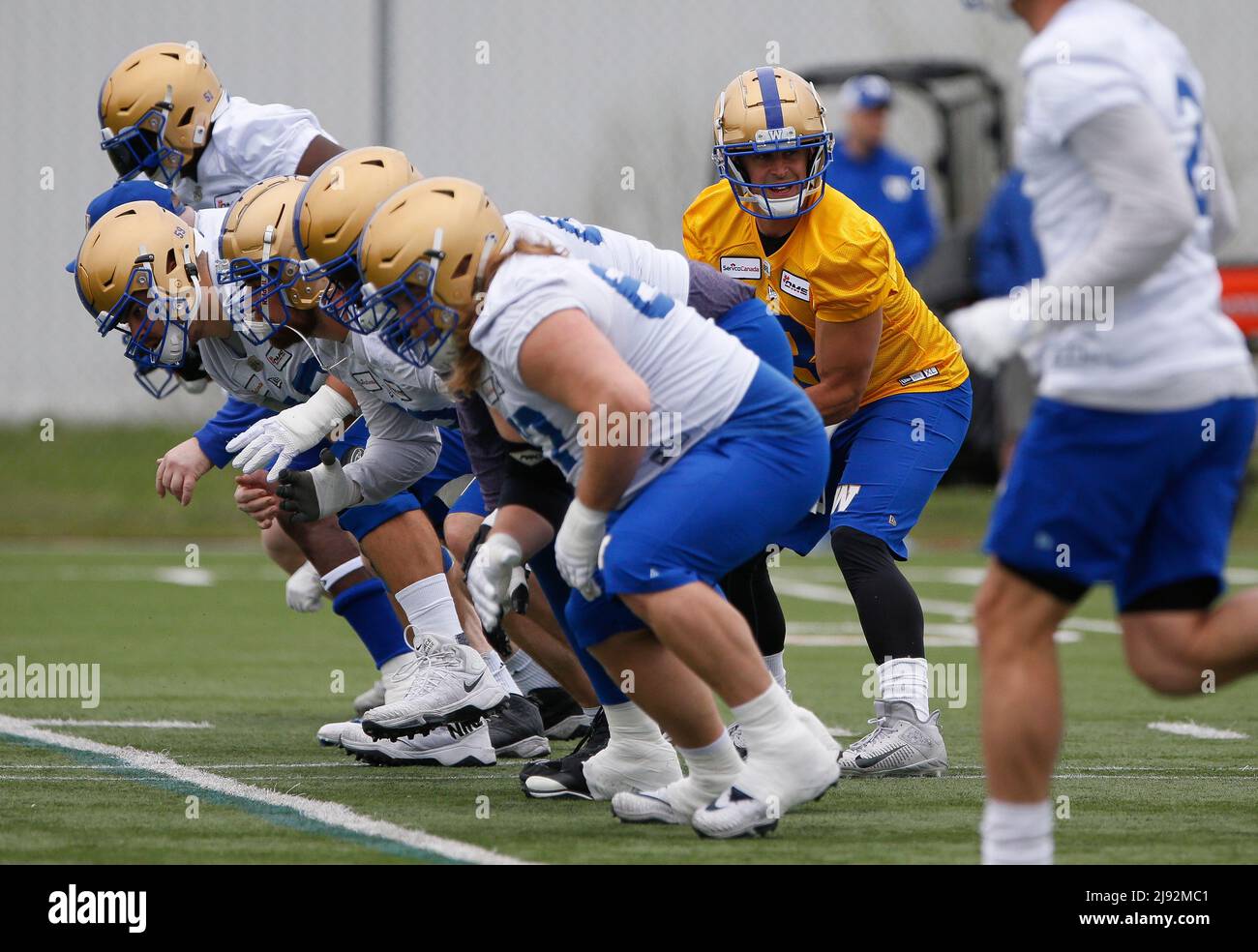 Winnipeg, US, May 19, 2022, Winnipeg Blue Bombers quarterback Zach Collaros (8) during practice at training camp in Winnipeg Thursday, May 19, 2022. The players hit the field today after agreeing to a new players agreement last night. THE CANADIAN PRESS/John Woods Stock Photo