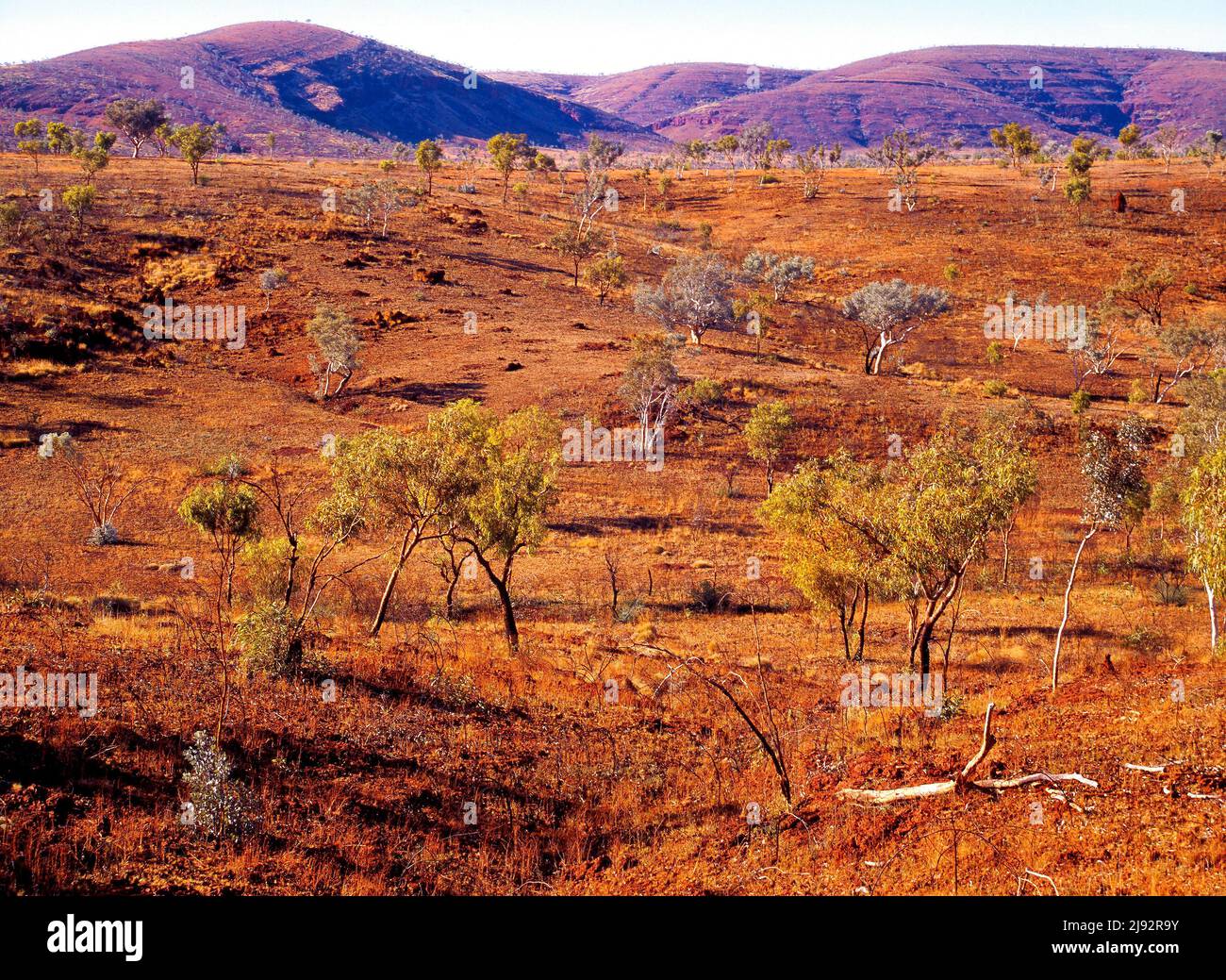 Karijini National Park Landscape, Pilbara, Northwest Australia Stock Photo