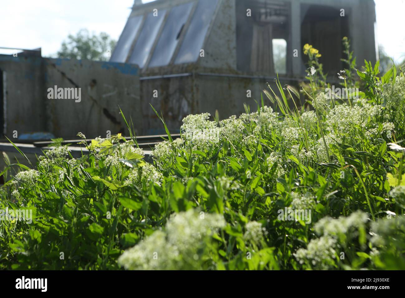 Old repair sea port with rusty ships Stock Photo - Alamy