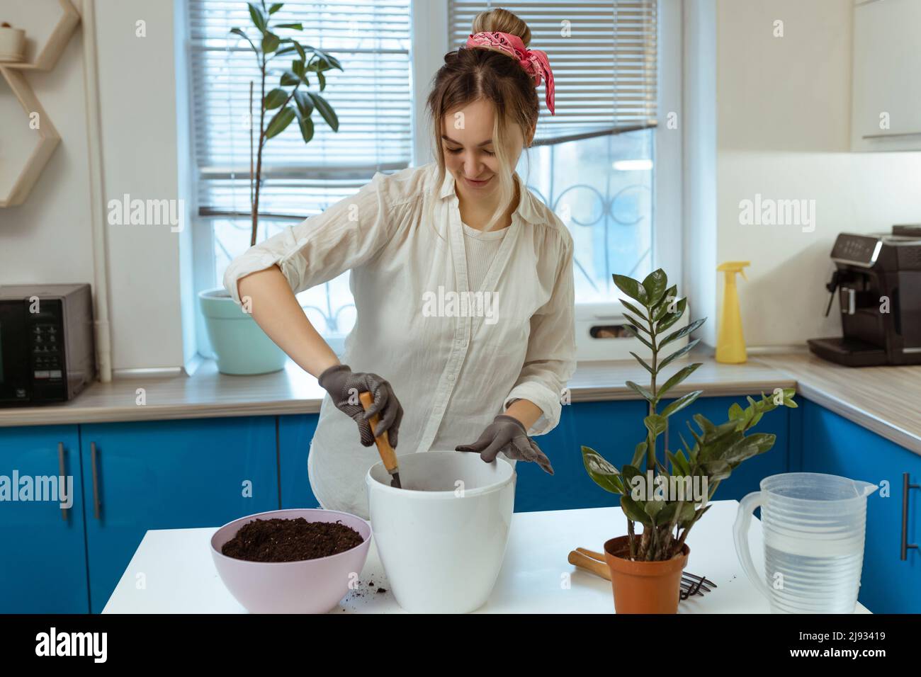 A cute girl transplants a plant at home in garden gloves. Walk and decorate your home with plants and fresh flowers Stock Photo