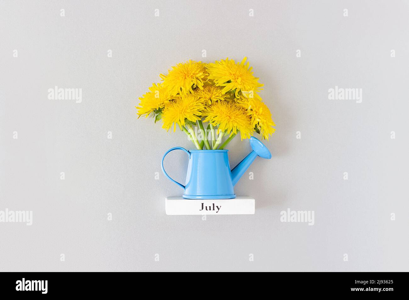 Calendar summer month July and yellow dandelions flowers in blue watering can on gray background. Top view Flat lay. Minimal concept Hello July. Top v Stock Photo