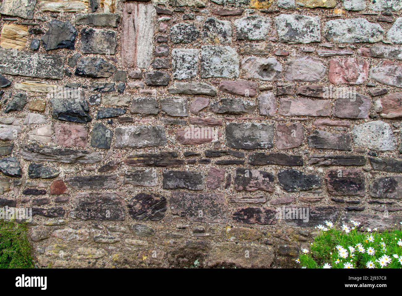 Beautiful old medieval European stone wall texture background, with ...