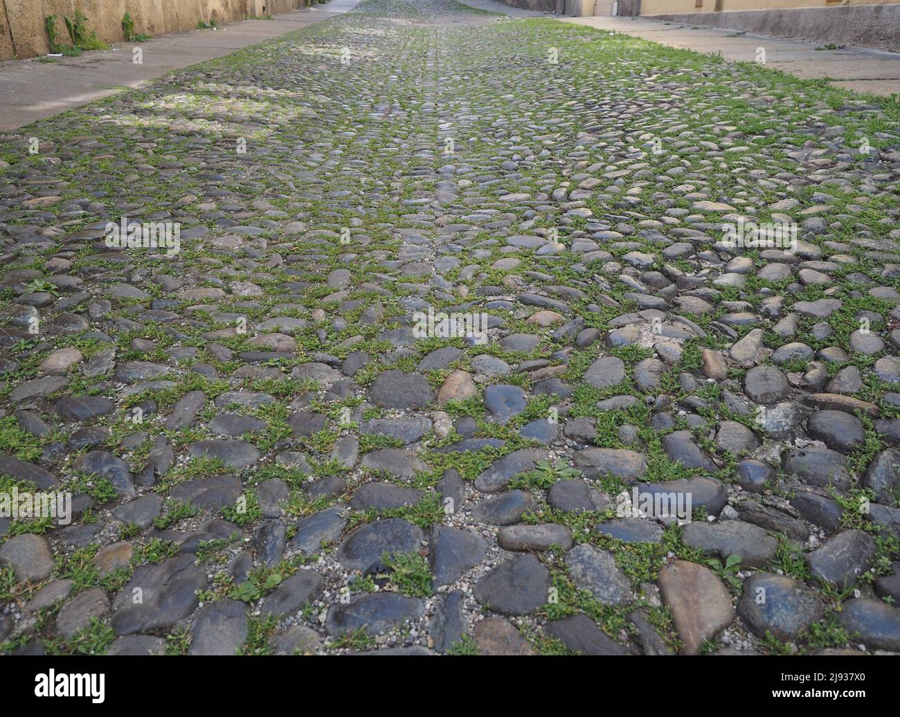 grey cobblestone floor useful as a background Stock Photo