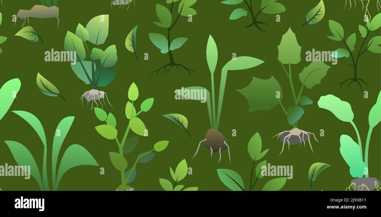 Seedling garden plants with roots. Sowing agricultural material ...