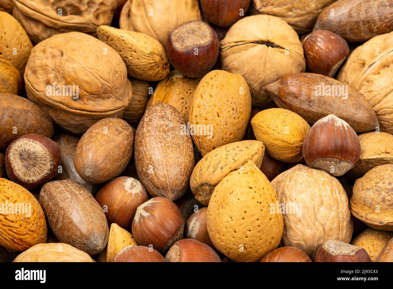 Assortment of nuts in shells. Selection of different types of nuts